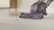 Dyson Ball Animal 3 Extra Upright Vacuum video 0 minutes 34 seconds
