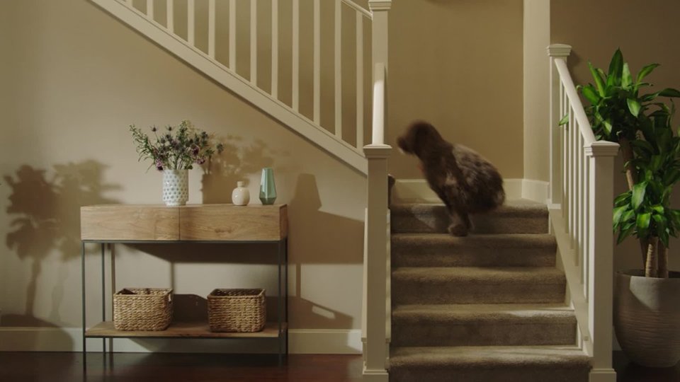 See the Shark WANDVAC Handheld Vacuum in action. video 0 minutes 17 seconds