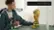 FIFA World Cup™ Official Trophy 43020 video 0 minutes 30 seconds