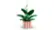 Peace Lily 11504 video 0 minutes 07 seconds