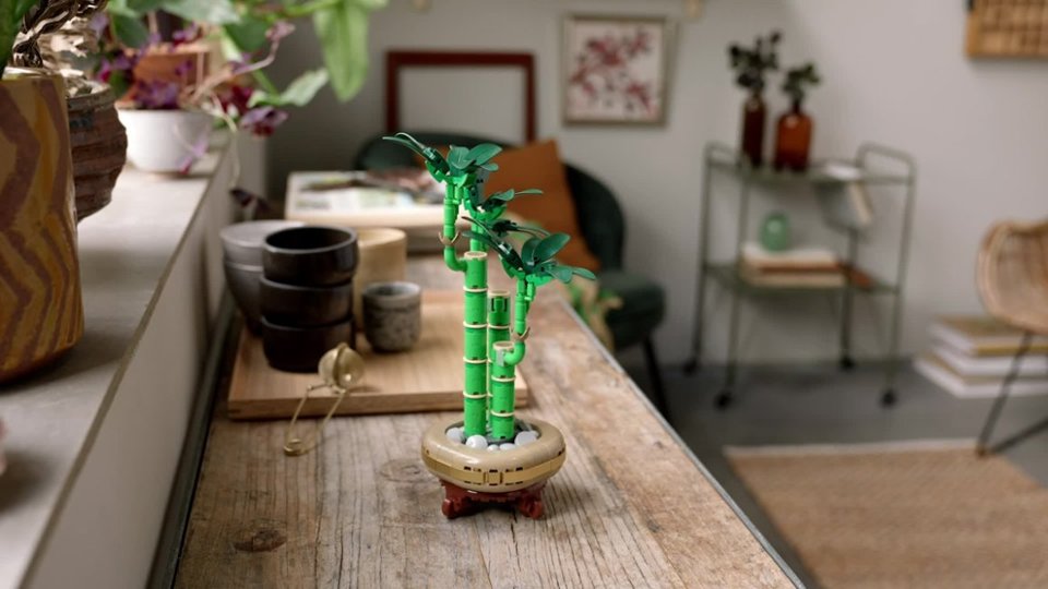 Shopper Video of Botanicals Lucky Bamboo Building Set video 0 minutes 30 seconds