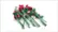 Botanicals Bouquet of Roses 10328 video 0 minutes 07 seconds