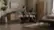 ProForm 325 CSX Recumbent Bike video 1 minutes 20 seconds