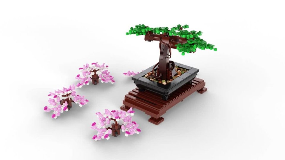 Botanicals Bonsai Tree 10281 video 0 minutes 07 seconds