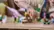 Creative Houses: Seasons of Fun 77057 video 0 minutes 30 seconds