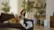 Levoit Vital Pet Pro How To video 2 minutes 47 seconds