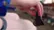 Beast pairs with your Nintendo Switch video 0 minutes 38 seconds