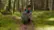 X1 Self-Flying Camera Drone - Adventure video 0 minutes 44 seconds