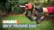 Overview of WG163.9 20V Power Share GT 3.0 12" Cordless String Trimmer & Wheeled Edger video 0 minutes 42 seconds