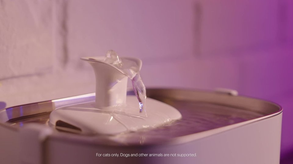 App Features for PETLIBRO Dockstream App Monitoring Pet Water Fountain video 0 minutes 58 seconds