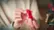 The Temple Bounty 71848 video 0 minutes 30 seconds