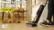 Clean Up After Your Pets with the Tineco FloorWasher Pet 5 Wet/Dry Vacuum video 0 minutes 52 seconds
