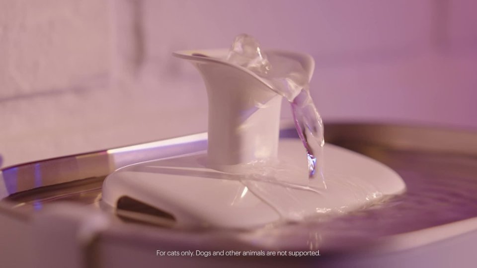 Cleaning the PETLIBRO Dockstream App Monitoring Pet Water Fountain video 1 minutes 00 seconds