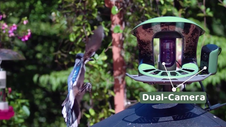 Feeder 2 Duo Pro-Highlights video 0 minutes 50 seconds