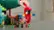 The Parrot Houses 21282 video 0 minutes 30 seconds