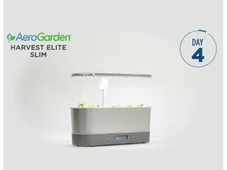 AeroGarden HarvestSlim Time Lapse video 0 minutes 11 seconds