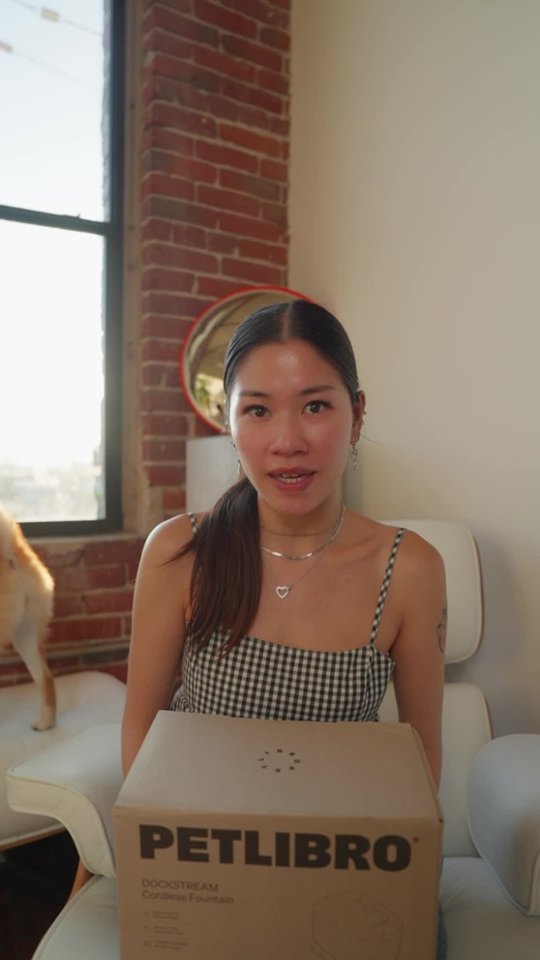 Keep Your Pets Well-Hydrated With This Drinking Fountain video 0 minutes 49 seconds