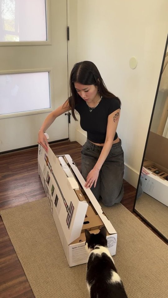 Creator Pick: My Favorite Vacuum for Cleaning Pet Hair! video 0 minutes 29 seconds