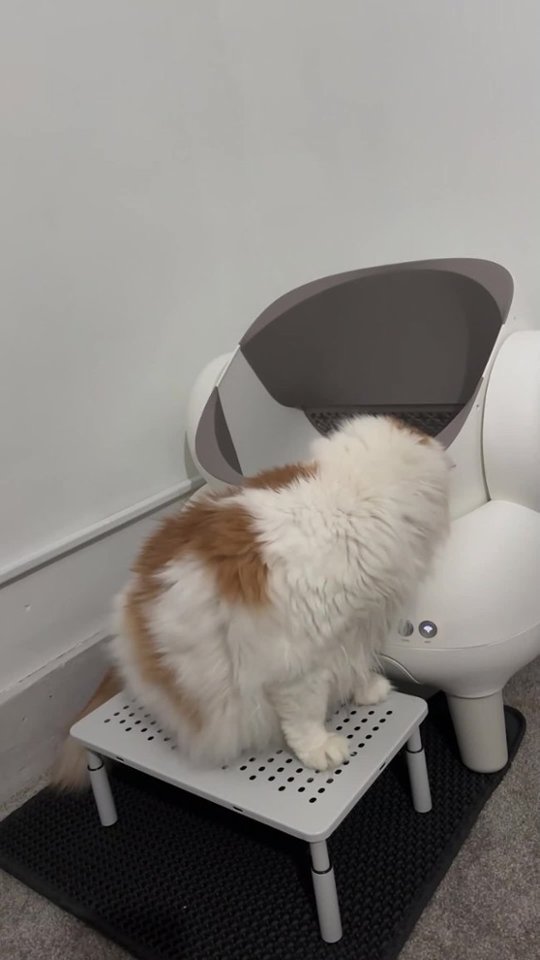 Neakasa Demo Video video 1 minutes 36 seconds