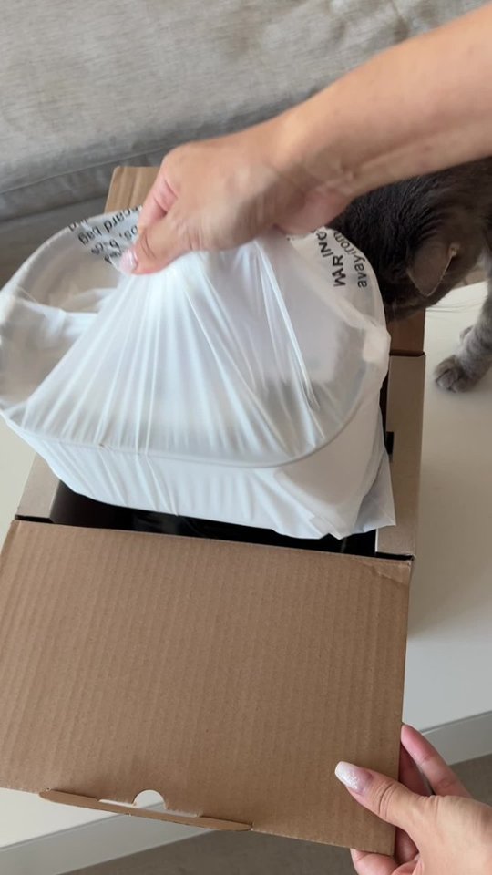 Creator Pick: Upgrade Your Pet’s Hydration With This Sleek, Cordless Fountain video 0 minutes 50 seconds