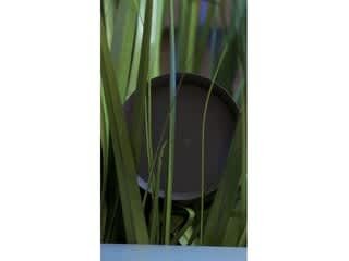 What to know about Sonance landscape speakers video 1 minutes 00 seconds