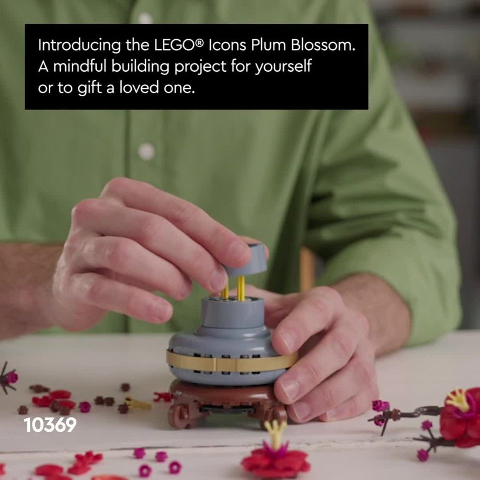 Plum Blossom 10369 video 0 minutes 30 seconds