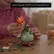 Chrysanthemum 10368 video 0 minutes 30 seconds